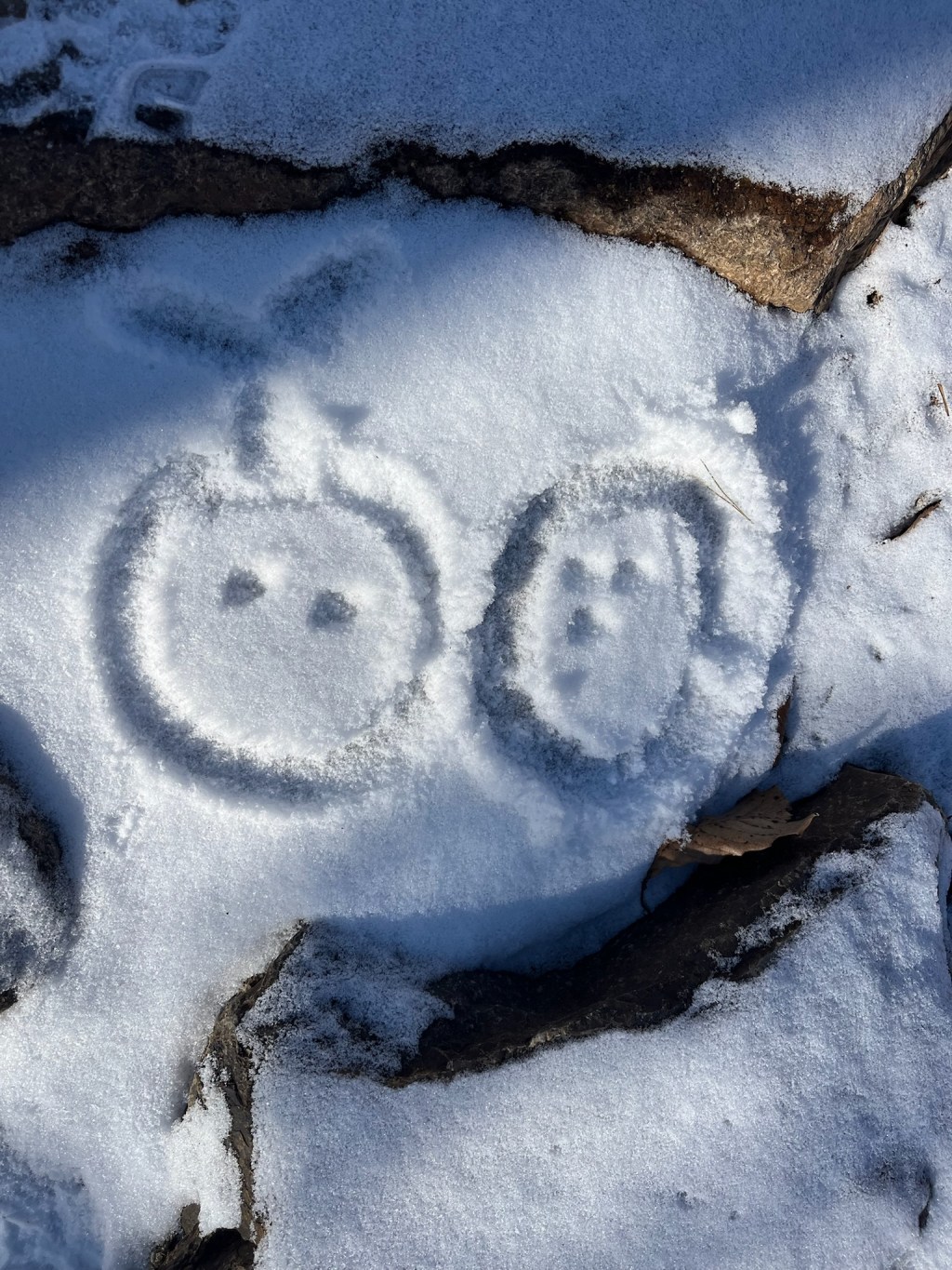 Let me test if photos, GIFs, and videos work well when I upload&nbsp;them.